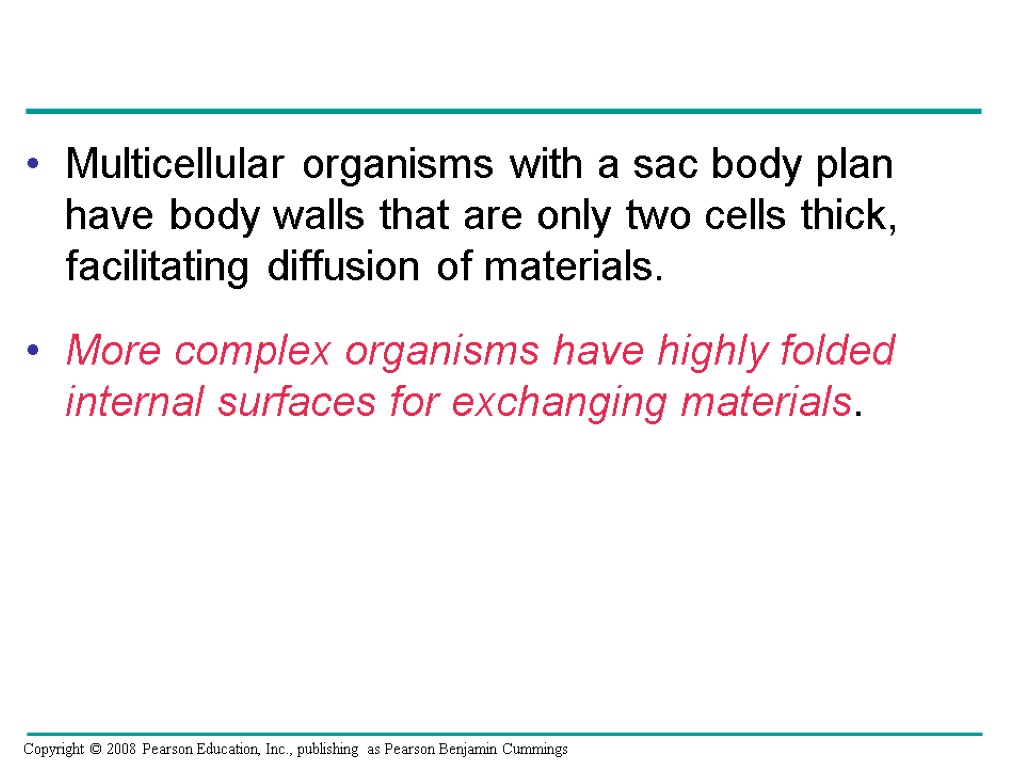 Multicellular organisms with a sac body plan have body walls that are only two